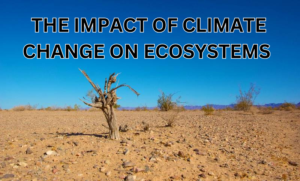 The Impact of Climate Change on Ecosystems:
